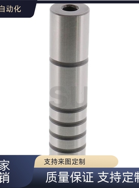 替代  C-SGPN10/13/16/20/25卸料板导柱（中精度） -直杆型