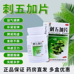 红绿灯刺五加片益气健脾补肾安神脾肾阳虚腰酸失眠多梦体虚乏力