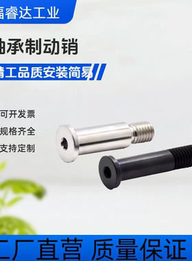 BGP轴承止动销 BGPM 6 8 10-9 11 13 14 17-L20 L25 L30 L40 L50