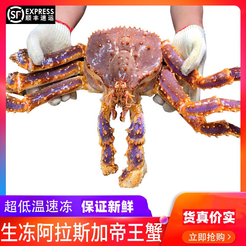 【活冻品质】俄罗斯帝王蟹进口海鲜水产皇帝蟹面包珍宝超特大螃蟹