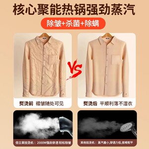倍立莱蒸汽挂烫机商用烫衣服专用立式家用服装店大功率熨斗熨烫机