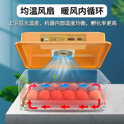 孵化器全自动智能孵蛋器小型家用孵化机塑料芦丁鸡鸭鹅鹦鹉孵化箱