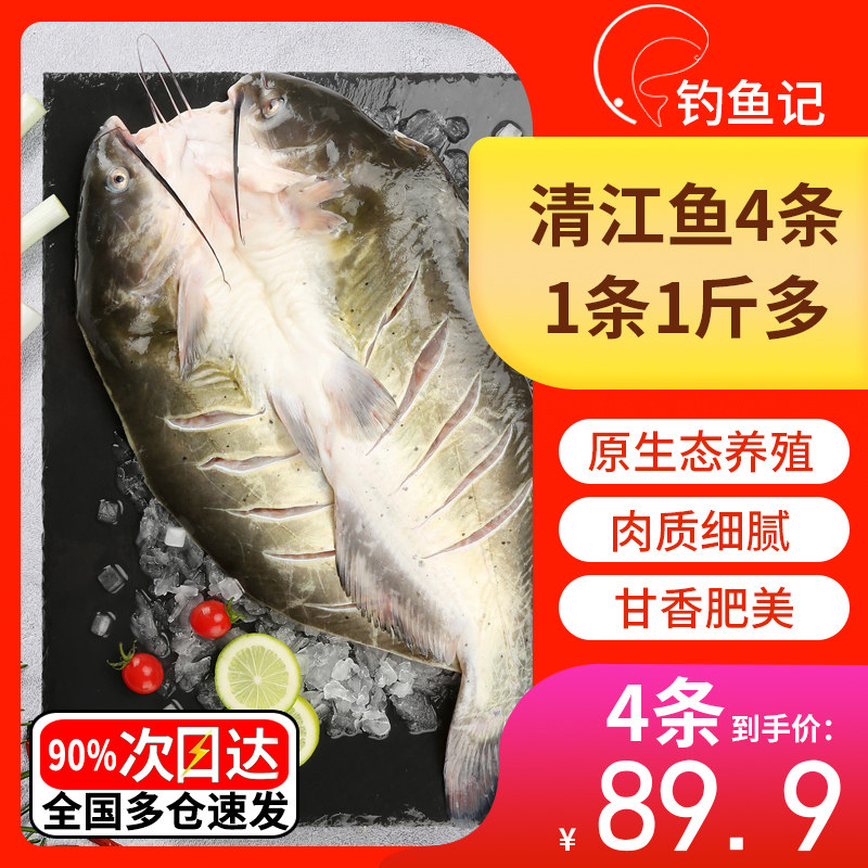 钓鱼记叉尾鮰鱼方便清江鱼快手菜