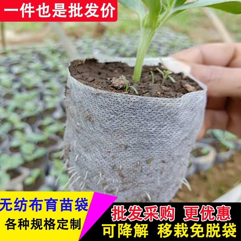 无纺布育苗袋可降解营养袋植树袋营养钵加厚营养杯种植袋树苗花盆