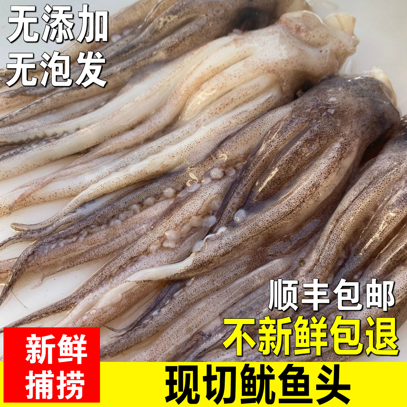 新鲜现切鱿鱼头鱿鱼须鲜活冷冻野生海捕大章鱼火锅烧烤食材海鲜高性价比高么？