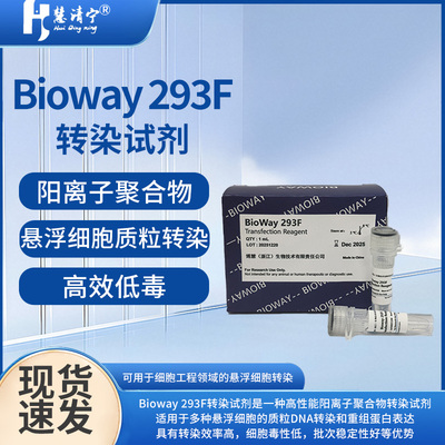 Bioway 293F转染试剂质粒转染和重组蛋白表达