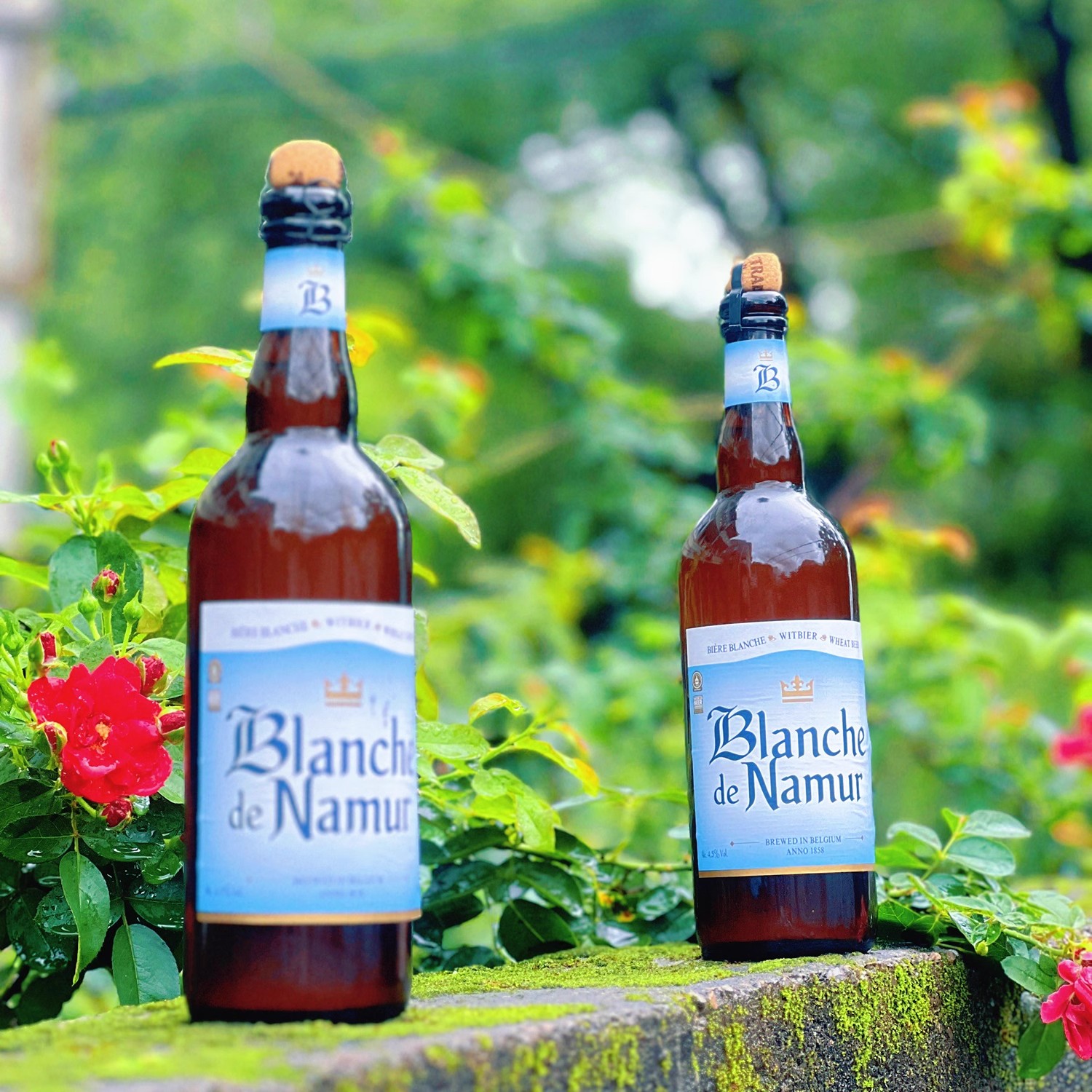 比利时娜慕尔白精酿啤酒小麦白啤 进口迪那慕杜巴克750ml