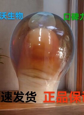 指套泡药套/伤口防水洗澡洗头手指脚趾套/甲沟炎保护套成人一次性