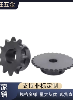 链轮 40B   SP40B 9 10 12 13 14 15 -N 链轮 链条