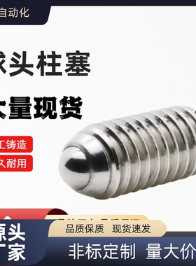 ZAH51 ZAH52-M4/M5/M6/M8/M10/M12/M16定位珠 不锈钢定位球头柱塞
