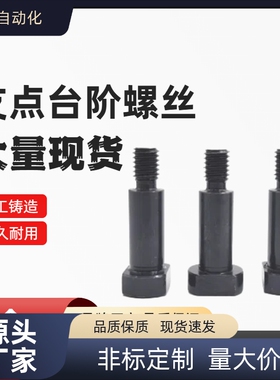 两平面型  CBDBW/FCBDBW4 5 6-1 2 3 4 5 6 7 8 10  支点台阶螺丝