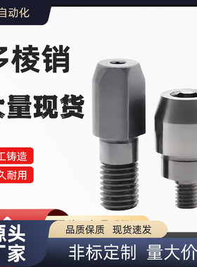 大头锥角内螺纹销/多棱销 YBU01 11 02 12 03 16 20 18 10 43-D-P