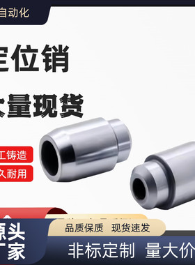 大头锥角螺栓固定位销YCF01 06 08 11 21 31 26 36 YCF41 51-D-PL