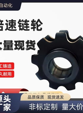 WESP3 WESP4 WESP5-9/10-H/N15/20/25/30-倍速链轮现货