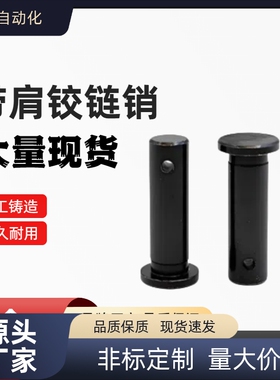 HCMG8 10 12-18 20 22 24 25 30 40 45 50开口销 MIB01带肩铰链销