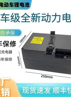 新国标电动车锂电池48V20AH25a新日星恒同款电瓶台铃小刀雅迪通用