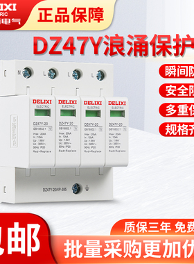 德力西浪涌保护器防雷击2P40KA家用220V避雷器4P开关电涌电源模块