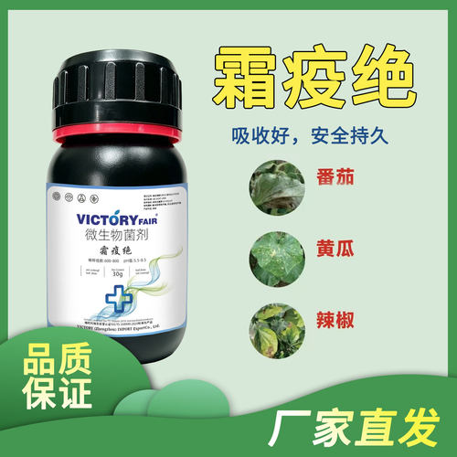 VICTORY霜疫绝微生菌肥番茄黄瓜