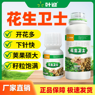 花生卫士中量元素水溶肥料开花多下针快荚果硕大籽粒饱满正品