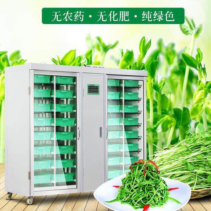 四川智能恒温豆芽机产量 多功能豆芽机报价 自动淋水芽苗机厂