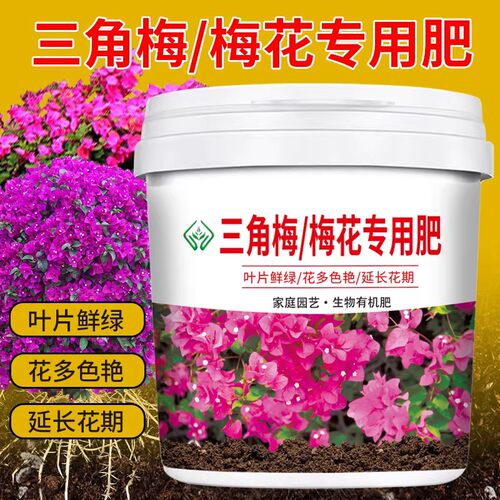 三角梅梅花有机颗粒缓释肥促花