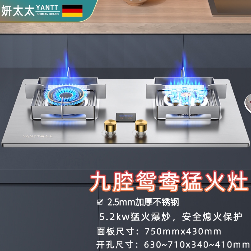 2.5加厚钢燃气灶猛火煤气炉德国