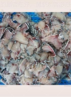 大型机肉类片机章鱼牛肉斜切割预制菜加切工肉设备切机VUK斜切鱼