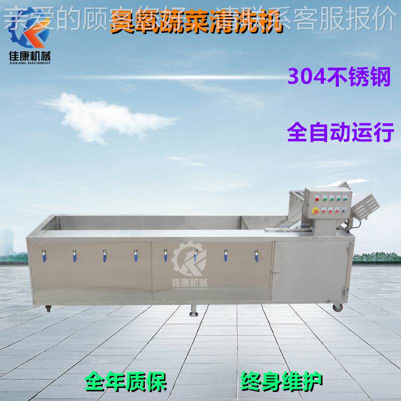 厂家生产杨臭氧清洗QJG机商用水果清 洗机 莓蓝树梅莓清洗设备