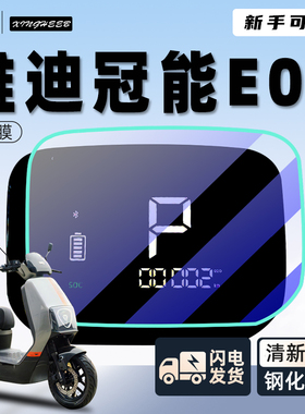 雅迪冠能E09专用仪表膜保护膜电动车贴膜显示屏贴纸改装六代6配件