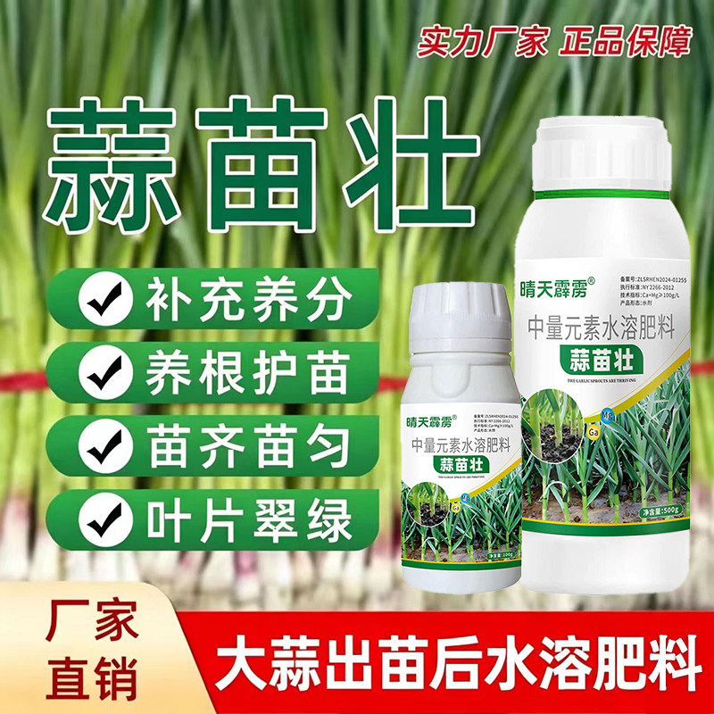 蒜苗壮大蒜生根壮苗剂促生长防干尖黄叶增绿叶蒜苗快长叶面肥