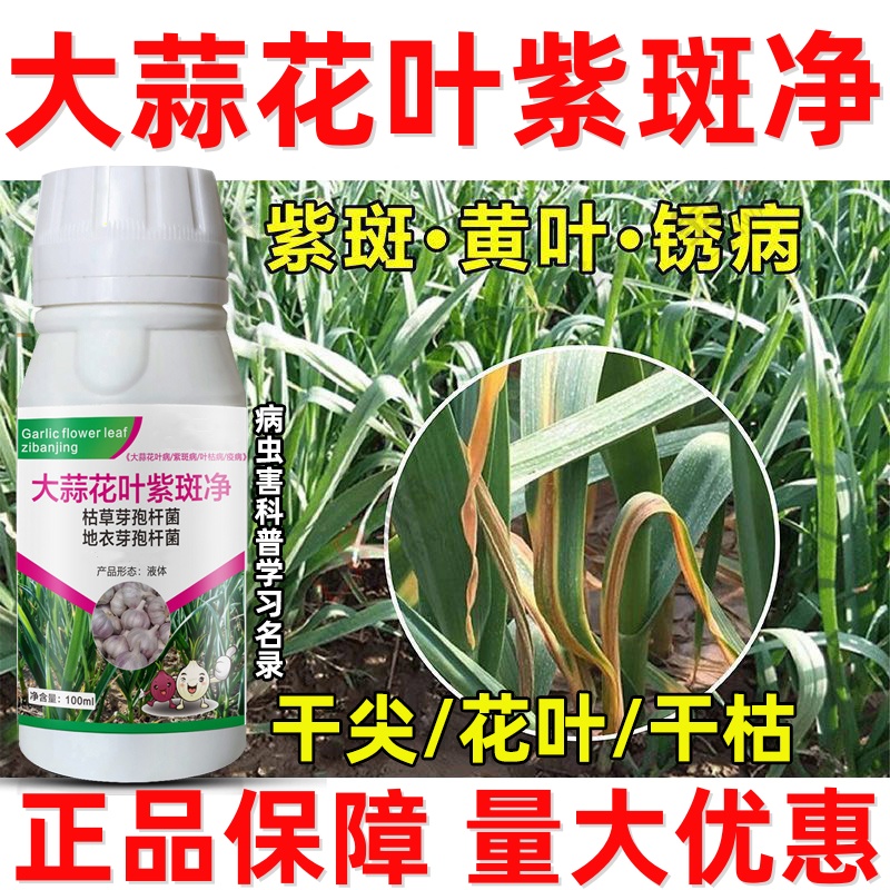 大蒜病杀菌药蒜苗用药大蒜黄叶烂根干尖病锈病紫斑软腐病正品