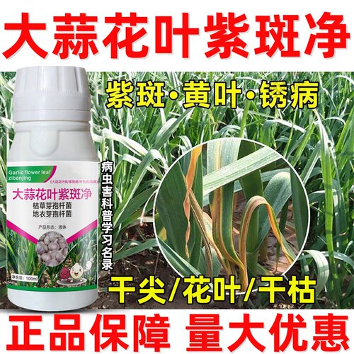 大蒜病杀菌药蒜苗用药大蒜黄叶烂根干尖病锈病紫斑软腐病正品