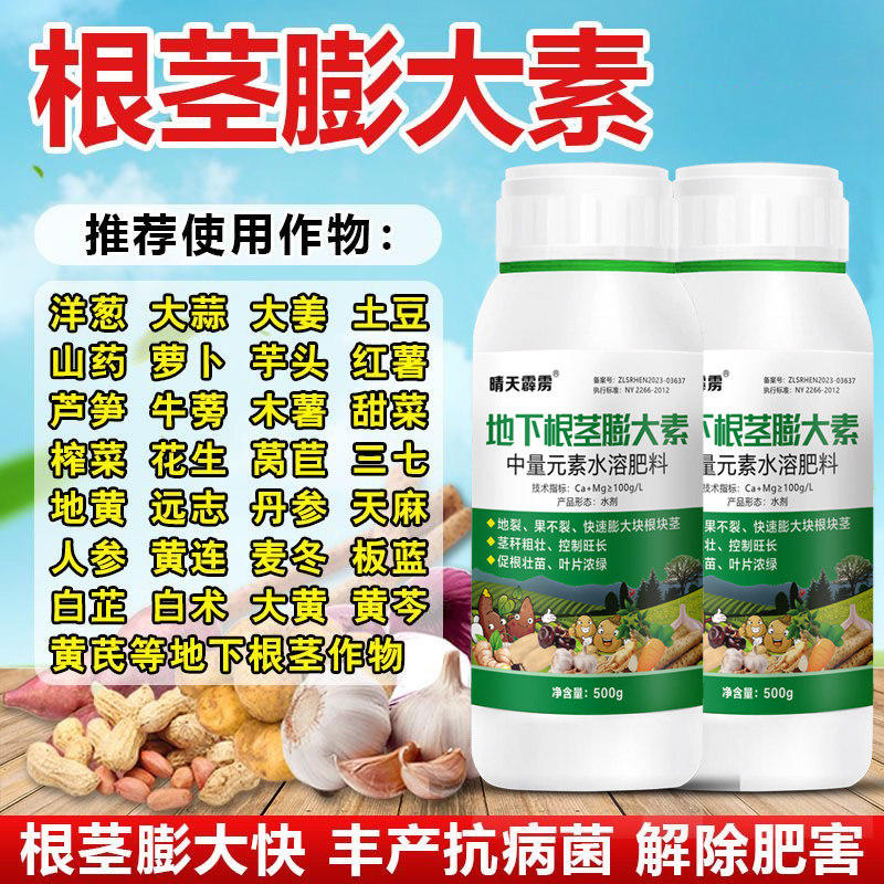 地下根茎膨大素地下猛长