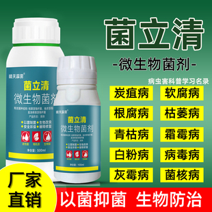 菌立清微生物菌剂农用杀菌剂根腐灰霉病白粉病叶斑病紫斑疫菌清