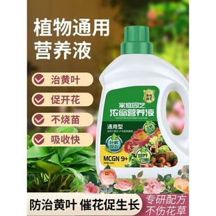 花草水培营养液植物通用型养花专用肥料花卉绿植室内花肥家用盆栽