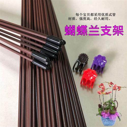 蝴蝶兰花造型支架蝴蝶兰夹子花卉蔓藤植物造型固定支架包塑铁丝线