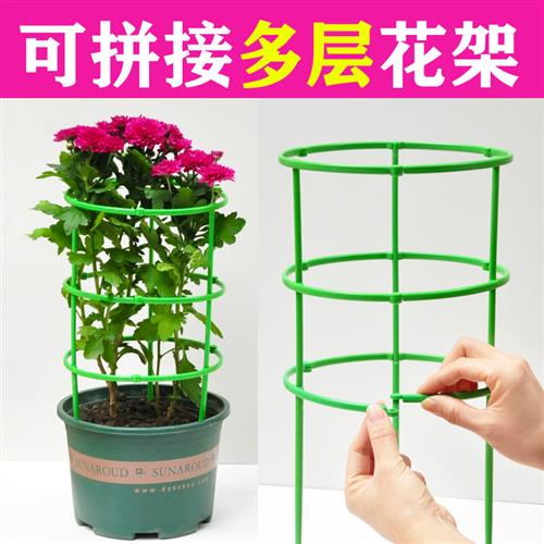可拼接绿植多层桌面支架塑料花卉支撑圈万能通用花架子蟹爪兰支架