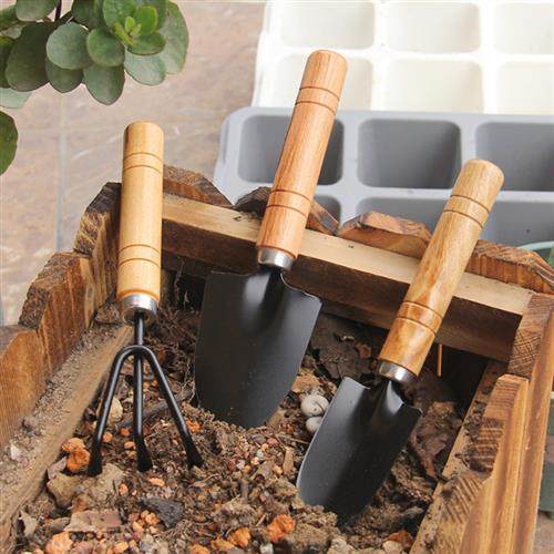 家用种花养花工具小铲子园艺套装养多肉种菜栽花松土铁铲花铲锄头,鲜花速递/花卉仿真/绿植园艺,铲子,淘宝优惠券,粉丝福利购,淘宝优惠卷