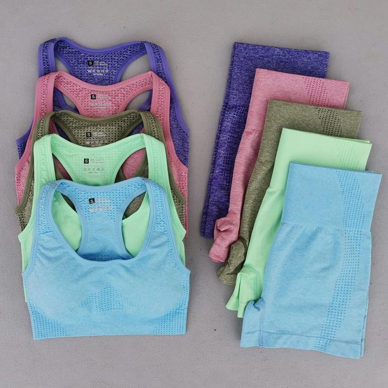 Summer Seamless Yoga Sets Women Gym Clothes Sport Suits High