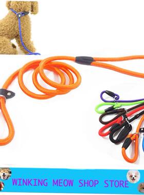 Dog Training Leash Slip Pet Dog Nylon Rope Lead Strap Tracti