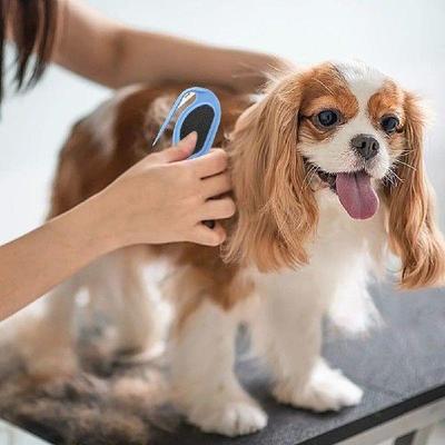 Knotting Comb Cat Brush Safe Grooming Comb Hair Removal