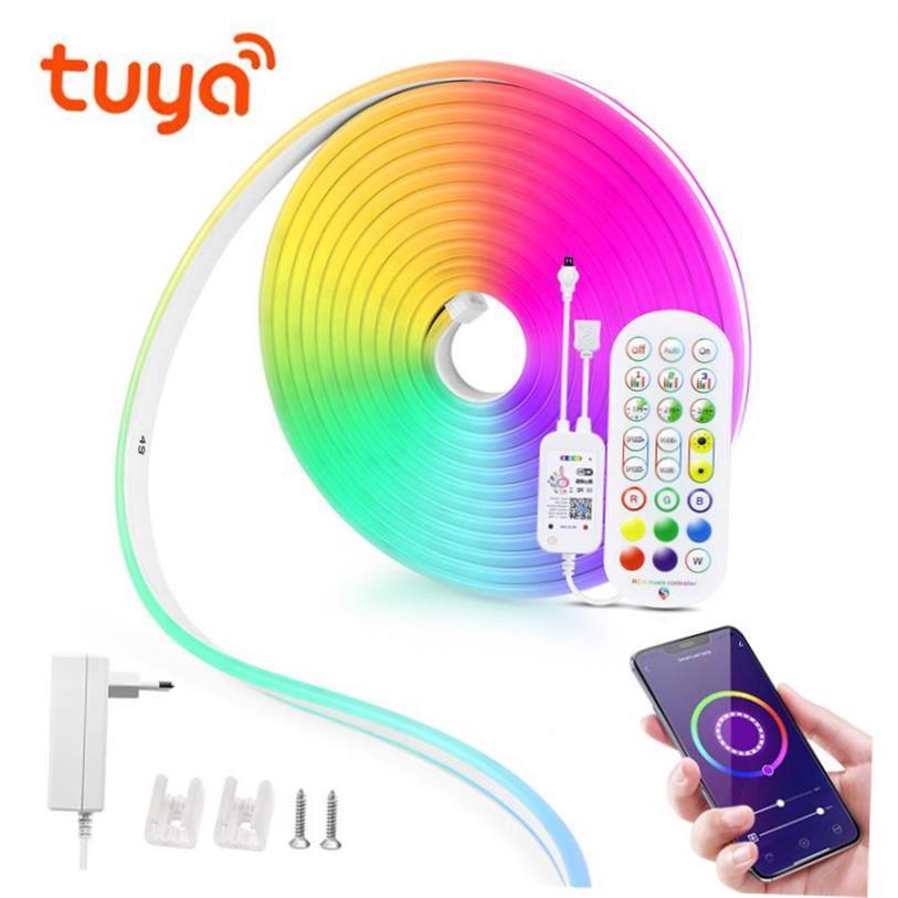 12V LED Strip Neon Lights Tuya Smart Life WiFi Bluetooth RGB