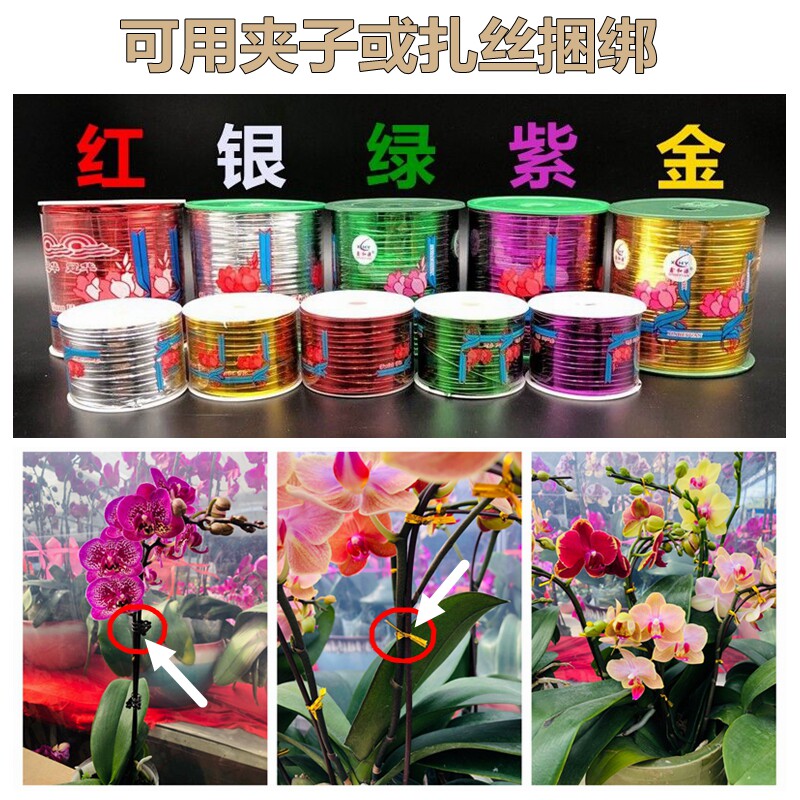 速发蝴蝶兰支架支撑杆园艺花卉造型咖啡色铁丝线蔓藤爬藤植物固定