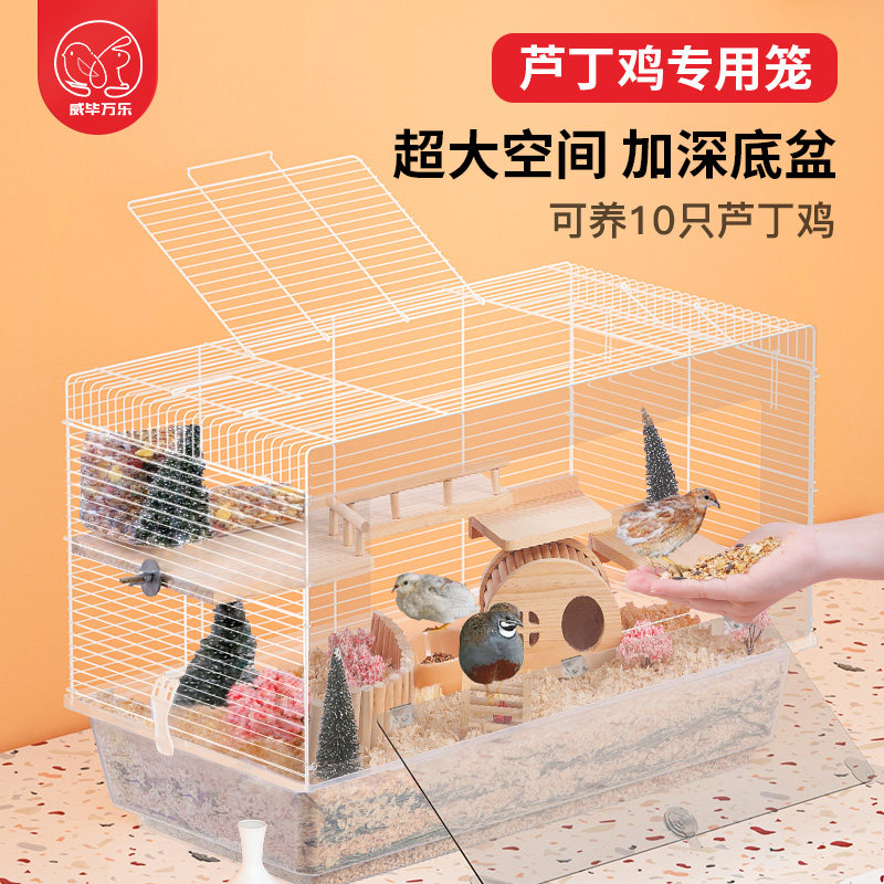 速发养丁鸡殖子饲芦箱鹌鹑观赏大别墅造景用品卢丁鸡盒养笼笼