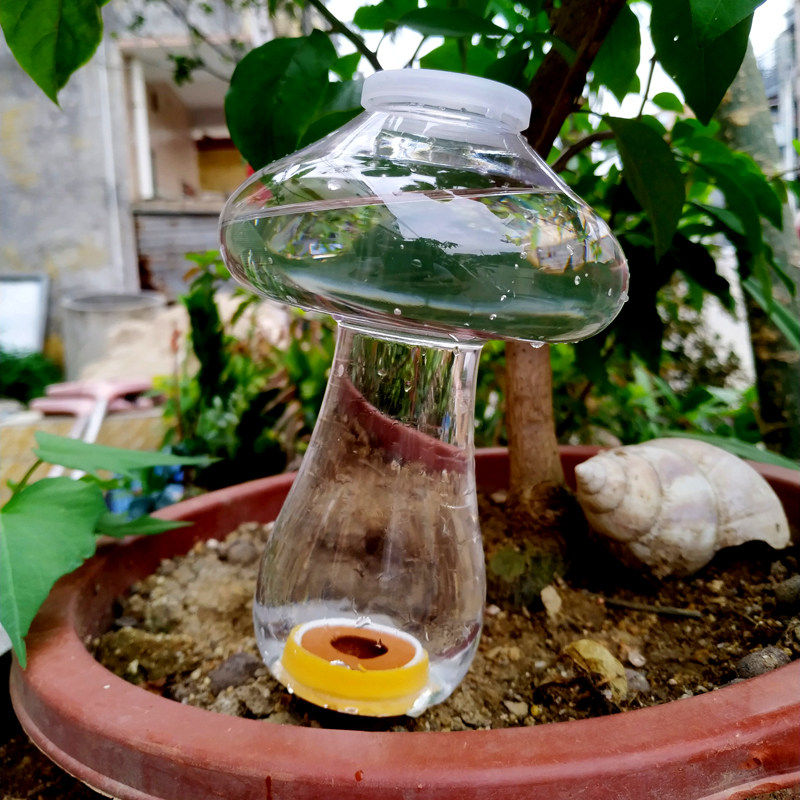 速发自动浇水器家用懒人浇花神器多肉浇花旅游出差渗水滴水器滴灌