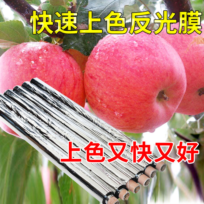 速发农用果树反光膜地葡萄温用水果增色双面大棚温室增园果专地膜