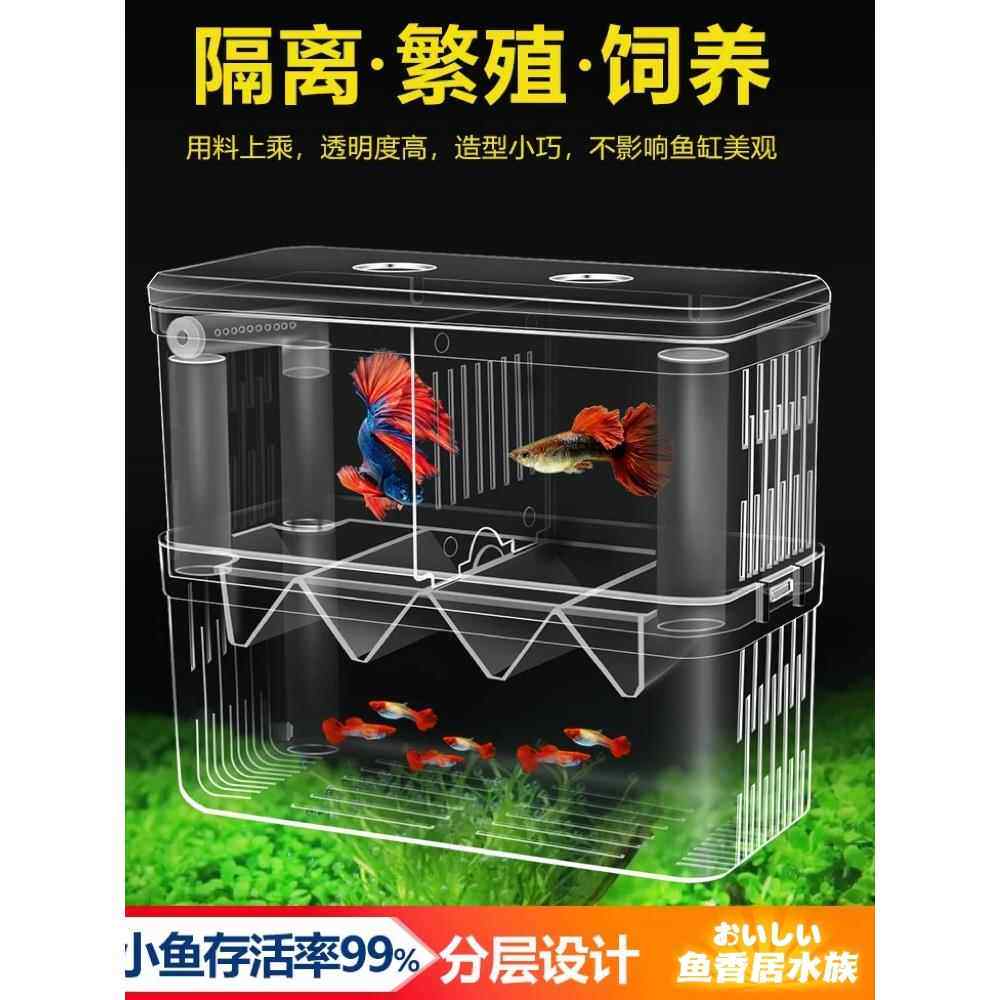 速发鱼缸隔离盒孔雀鱼孵化盒热小鱼带鱼幼鱼孵化盒特大号小号大号