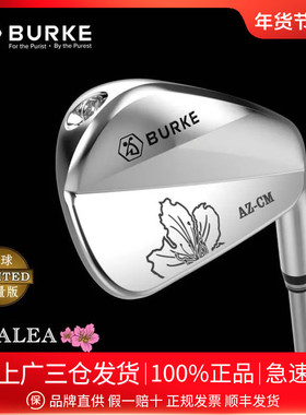 BurKe高尔夫球杆 杜鹃花男女铁杆组AZCM标准版低重心远距离锻造杆