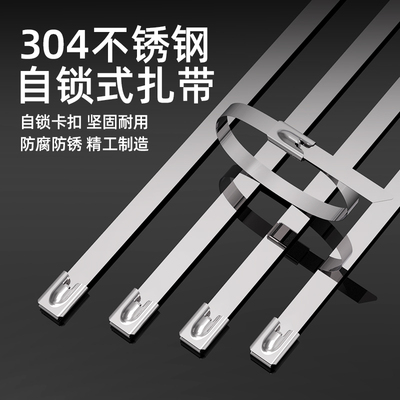 304不锈钢扎带4.6MM金属扎带