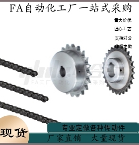 链轮VLY31-12B-16 17 18 19 20 22 24 25-D25 D30 D32 D40